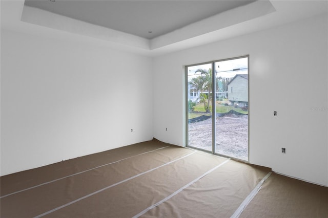 carpeted spare room featuring a raised ceiling