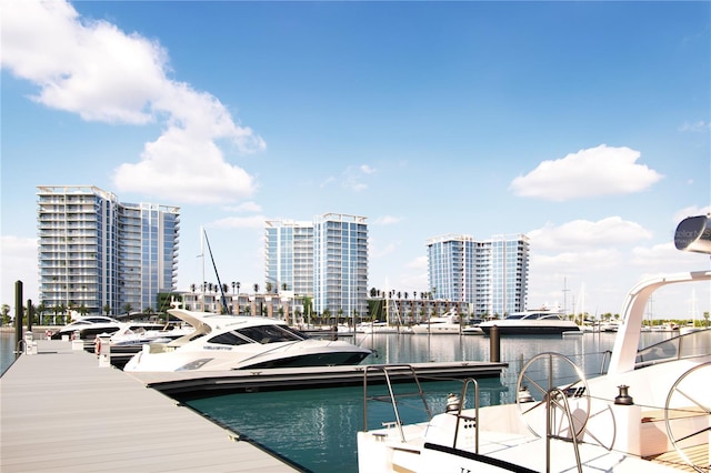 dock area with a water view