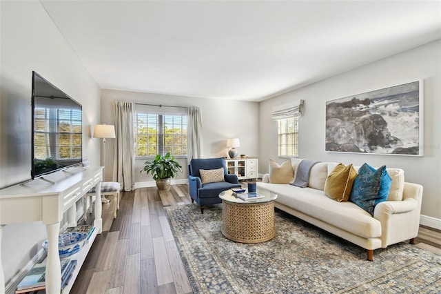 living room with wood-type flooring and a healthy amount of sunlight