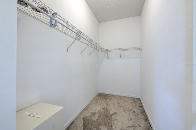 walk in closet featuring light colored carpet