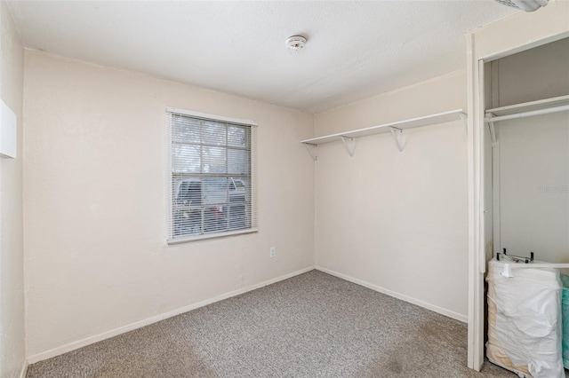 spacious closet featuring carpet