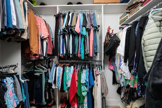 view of walk in closet