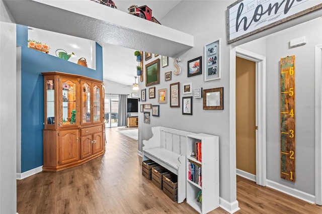 hallway featuring high vaulted ceiling and hardwood / wood-style floors