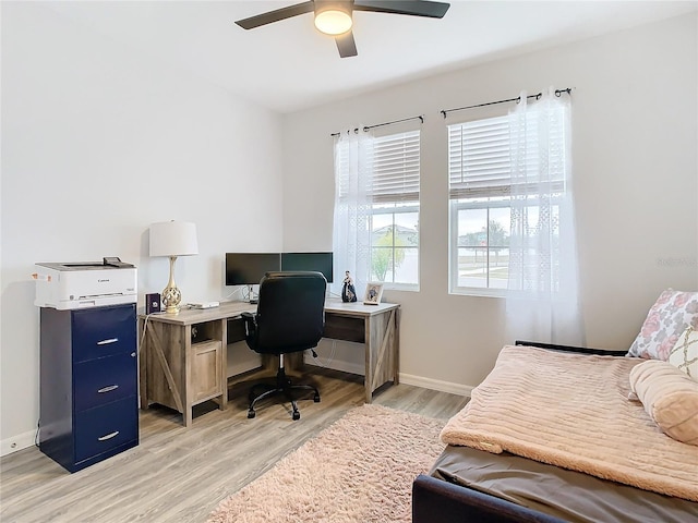 office area featuring ceiling fan and light wood-type flooring