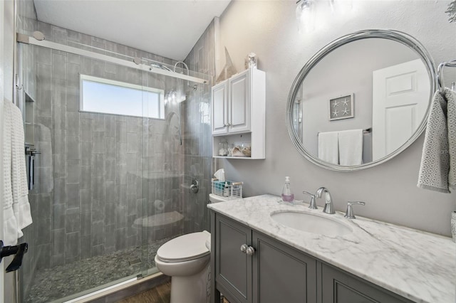 bathroom with vanity, a shower with shower door, and toilet