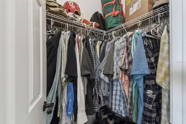 view of walk in closet