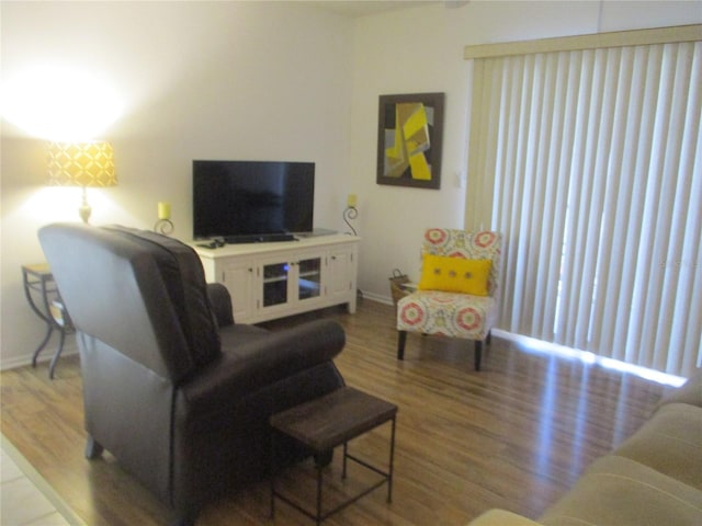 living room featuring hardwood / wood-style floors