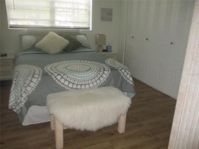 bedroom with dark hardwood / wood-style floors