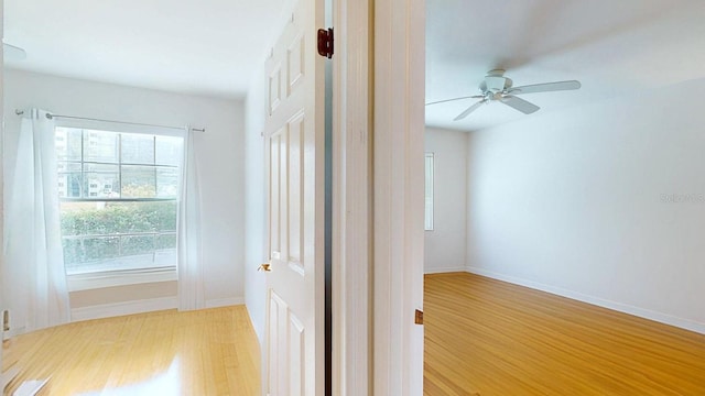 hallway featuring light wood-type flooring and a healthy amount of sunlight