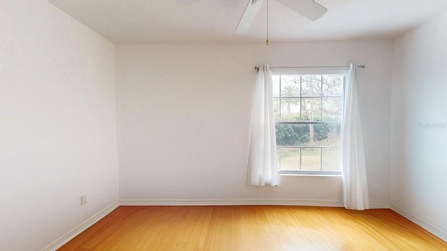 1237 N Mcmullen Booth Rd, Clearwater, FL 33759 - photo 27