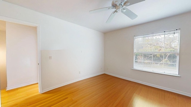 1237 N Mcmullen Booth Rd, Clearwater, FL 33759 - photo 29