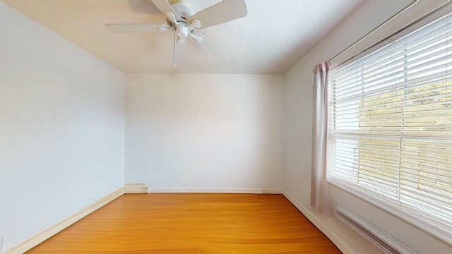 1237 N Mcmullen Booth Rd, Clearwater, FL 33759 - photo 38