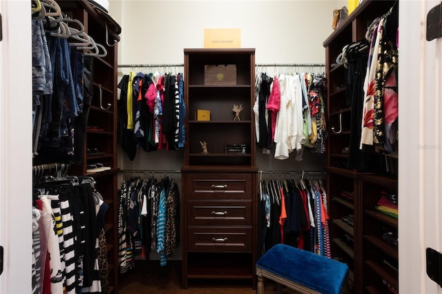 view of walk in closet
