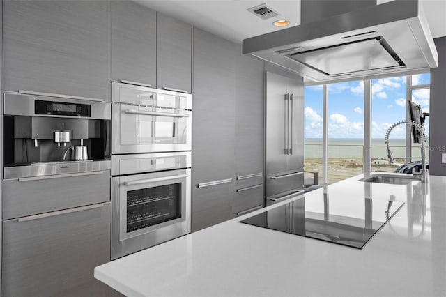 kitchen with gray cabinets, stainless steel double oven, sink, a water view, and ventilation hood