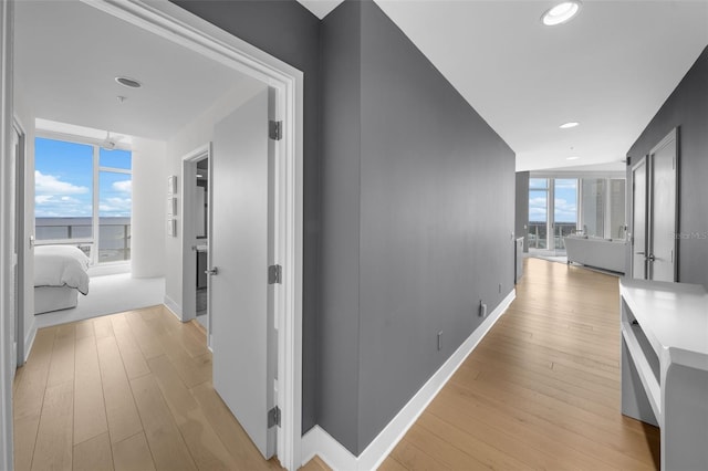 hallway with light wood-type flooring, plenty of natural light, and expansive windows