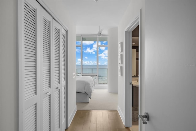 corridor with a water view, a wall of windows, and light wood-type flooring