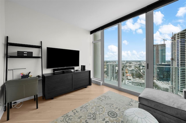 living room with a healthy amount of sunlight, light hardwood / wood-style floors, and expansive windows