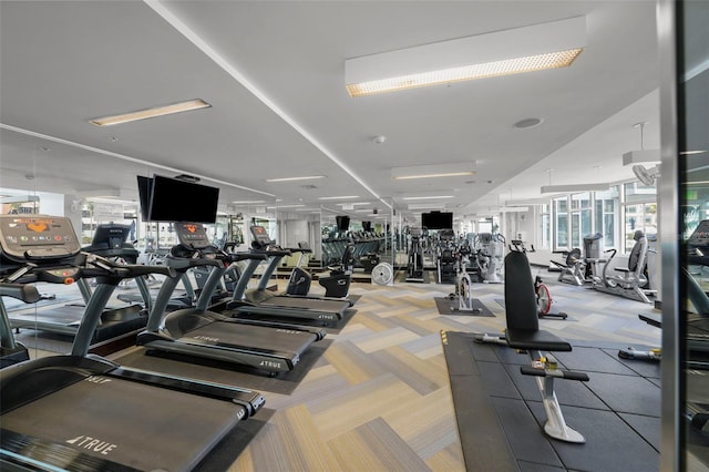 exercise room featuring carpet flooring