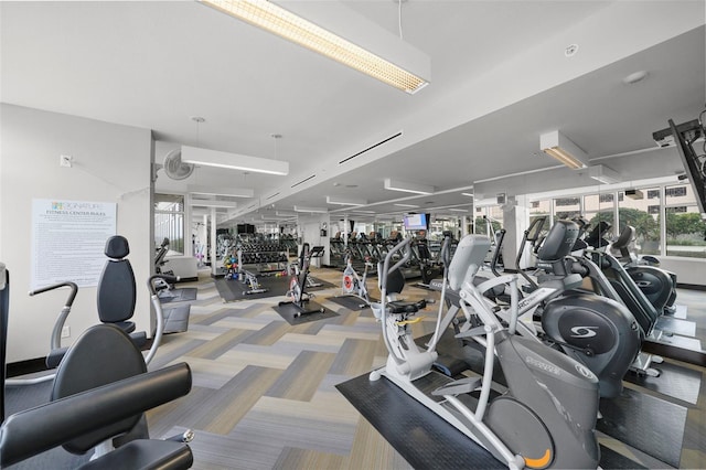 workout area with carpet floors