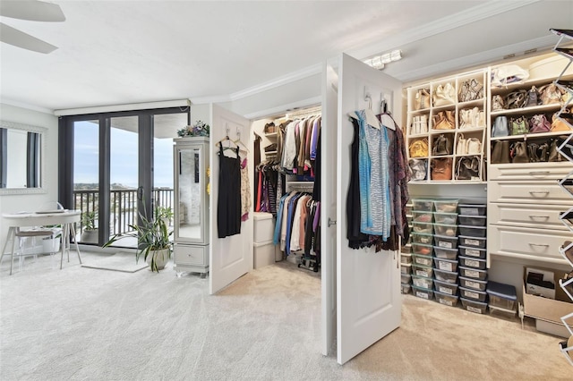 walk in closet featuring carpet flooring