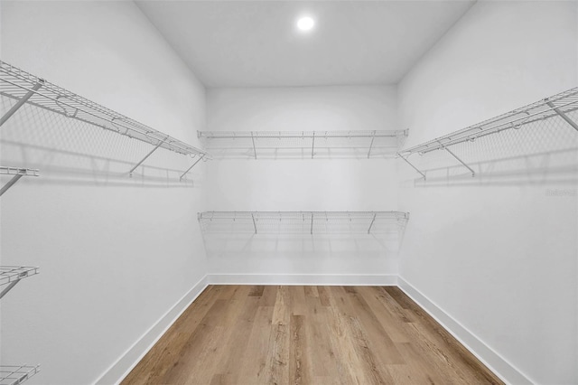 spacious closet with wood-type flooring