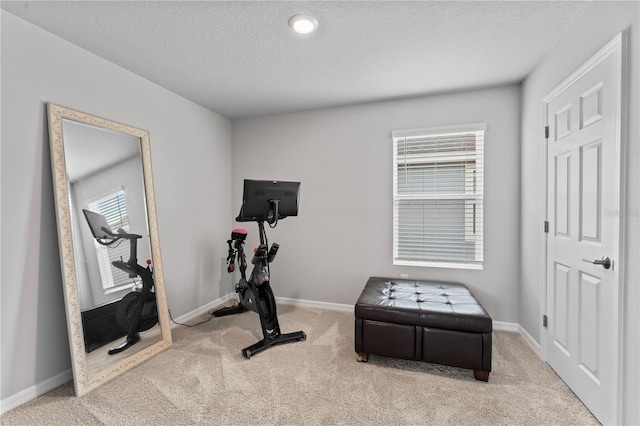 workout room with light colored carpet, a wealth of natural light, and a textured ceiling