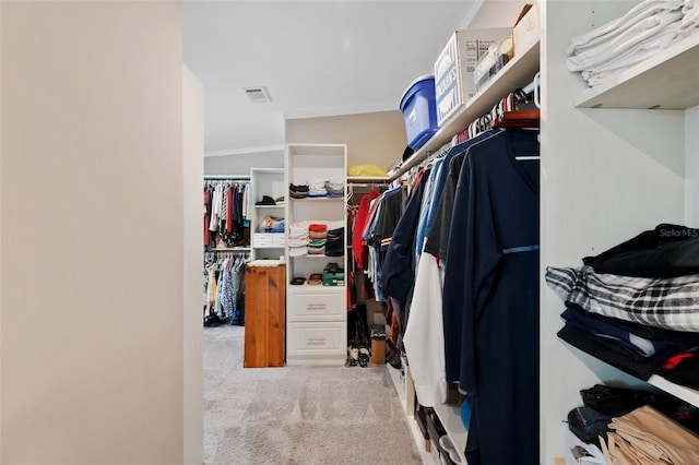 spacious closet with carpet flooring