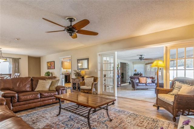 living room featuring a textured ceiling, a wealth of natural light, and light hardwood / wood-style floors