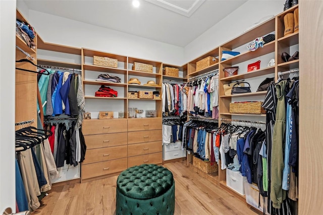 walk in closet featuring light wood-type flooring