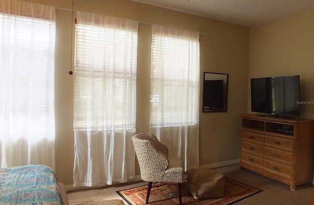 bedroom featuring multiple windows