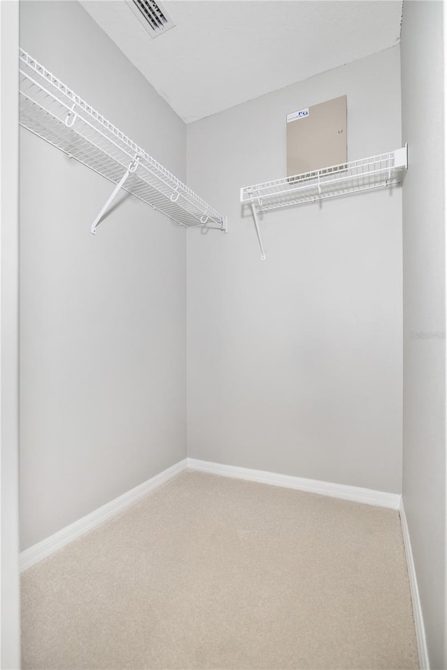 walk in closet with carpet