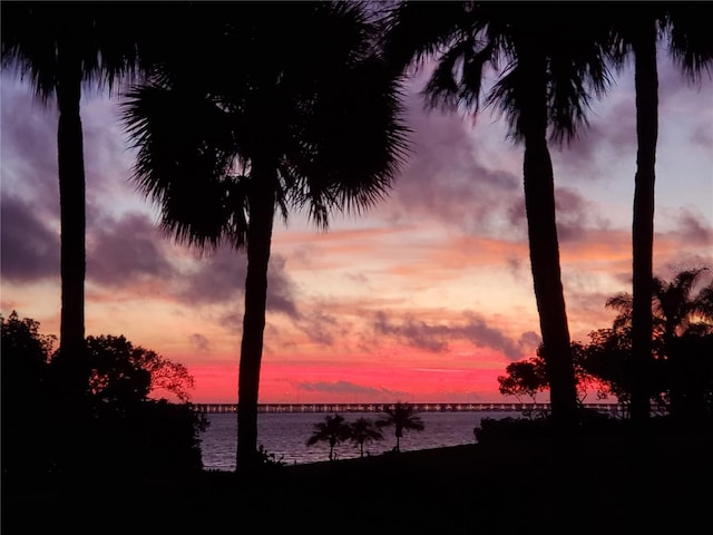 nature at dusk with a water view