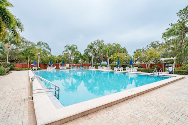 view of pool featuring a patio