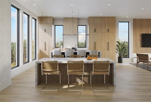 dining area with light hardwood / wood-style flooring and a healthy amount of sunlight