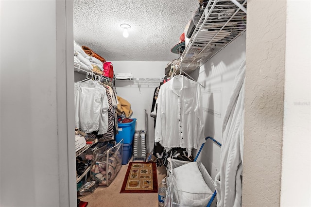 walk in closet featuring carpet flooring