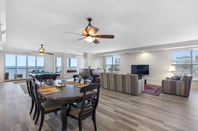 dining space with pool table, light wood finished floors, plenty of natural light, and baseboards