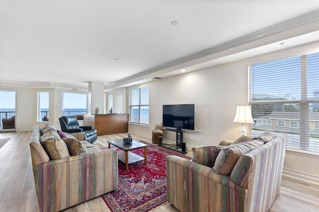 living room with light wood finished floors, plenty of natural light, and baseboards