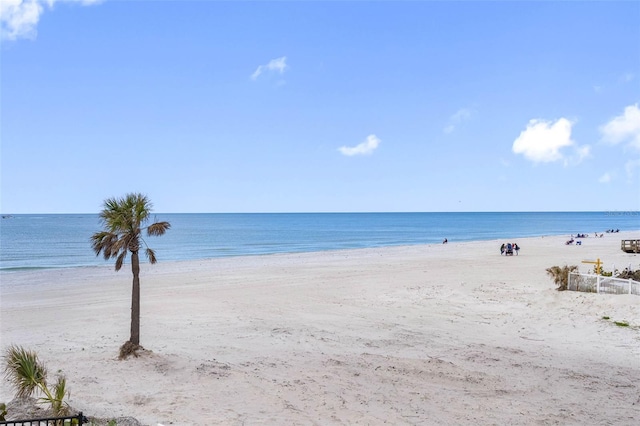 water view featuring a beach view