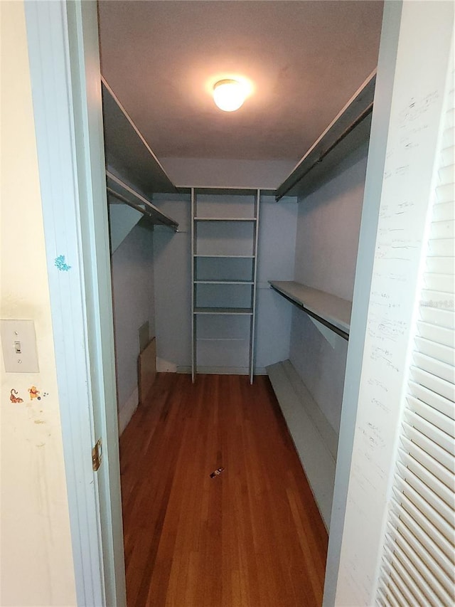 walk in closet with dark hardwood / wood-style floors