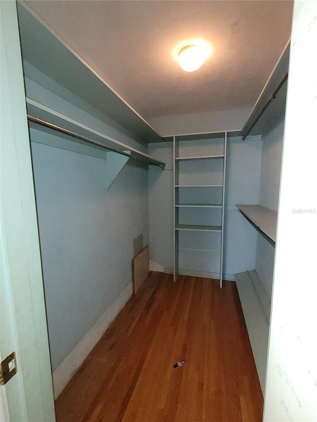 walk in closet with dark wood-type flooring