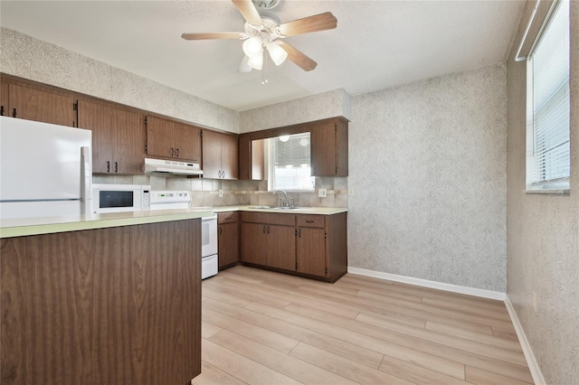 kitchen with white appliances, tasteful backsplash, sink, light wood-type flooring, and ceiling fan