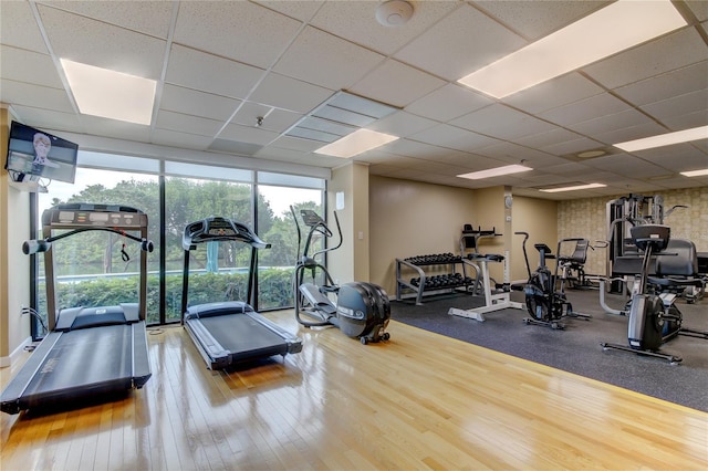 exercise room featuring hardwood / wood-style flooring and a drop ceiling