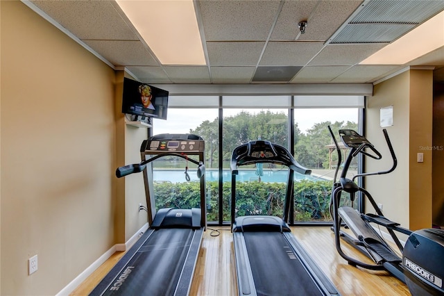 exercise room with hardwood / wood-style floors, a paneled ceiling, and a wall of windows