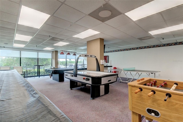 rec room with a drop ceiling, carpet floors, and a wall of windows