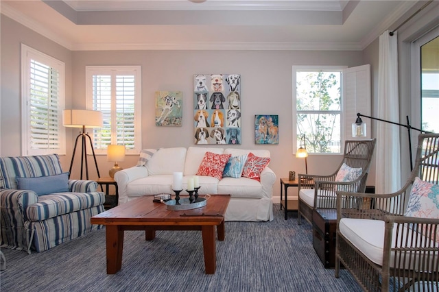 living room with ornamental molding and a tray ceiling