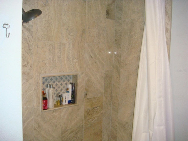 interior details with walk in shower