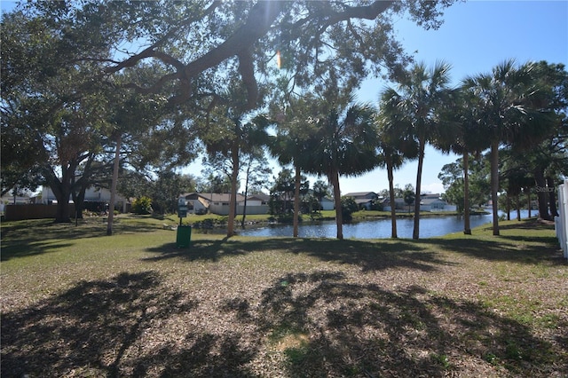 view of yard with a water view