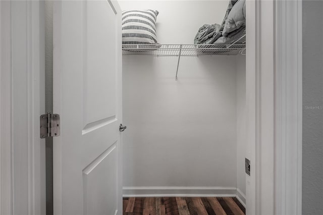 spacious closet with dark hardwood / wood-style flooring