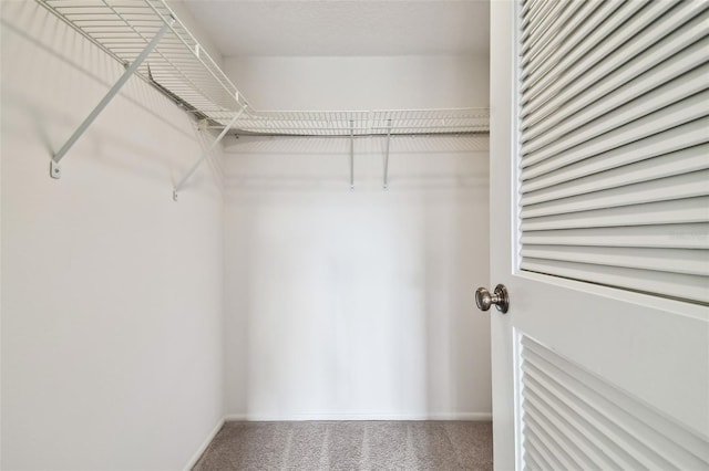 spacious closet with carpet