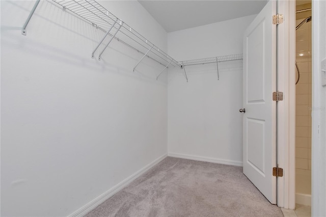 spacious closet featuring light colored carpet